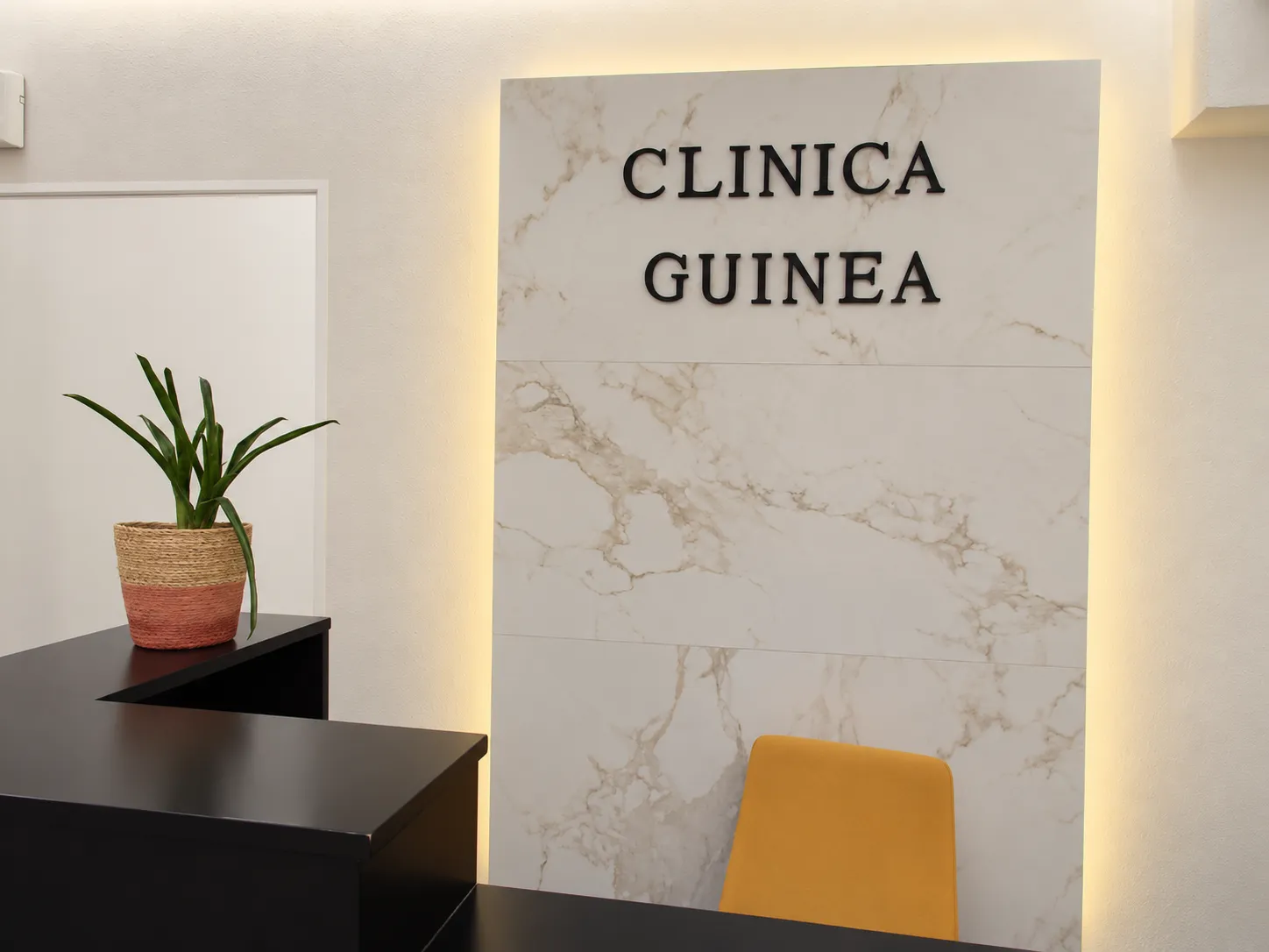 Detalle de la recepción de la clínica